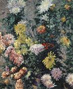 Gustave Caillebotte Chrysanthemums,Garden at Petit Gennevilliers USA oil painting reproduction